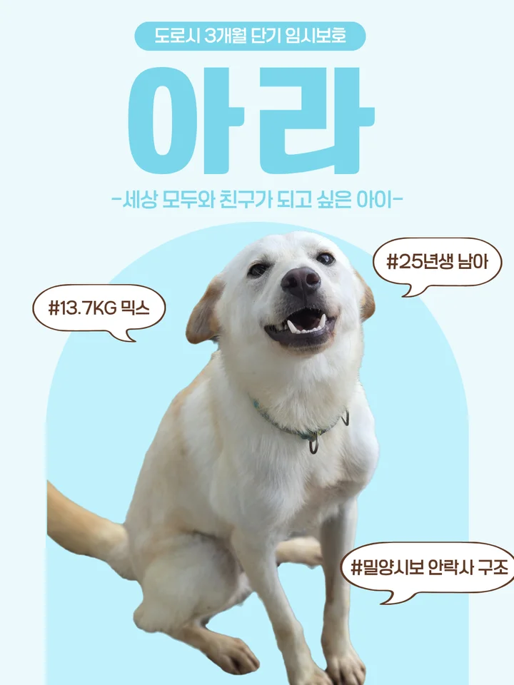 아라 1