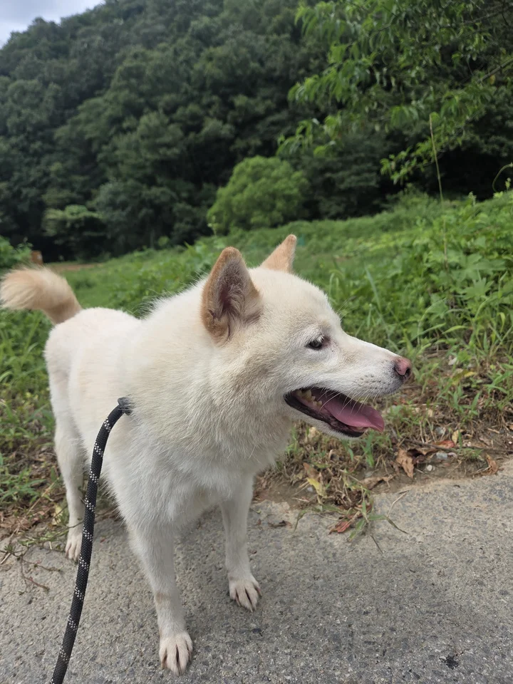 별이 16