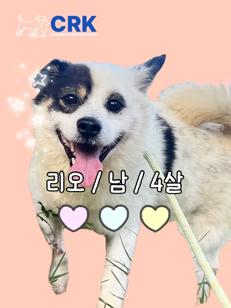 리오