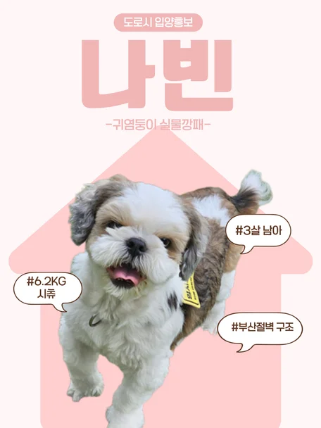 나빈
