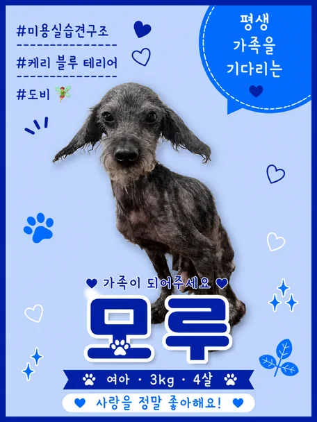 모루