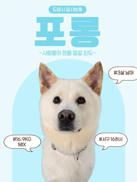 포롱