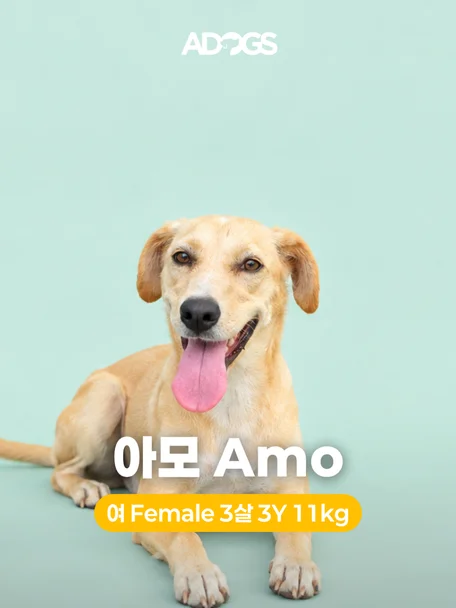아모