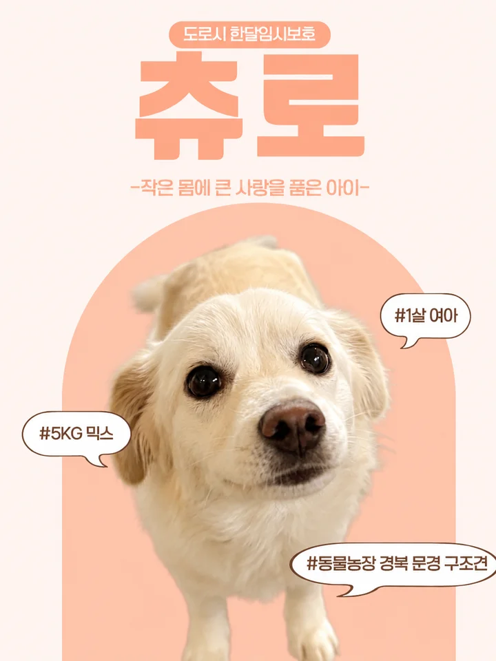 츄로 1
