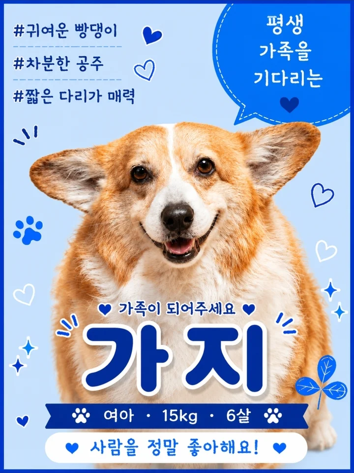 가지 1