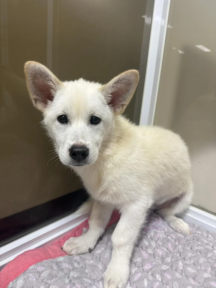 오늘이 5