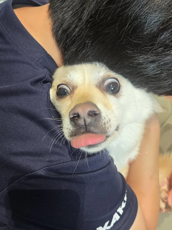 위니 14