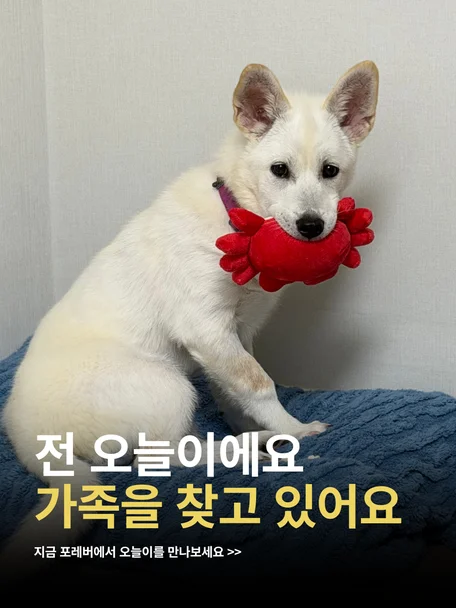 오늘이