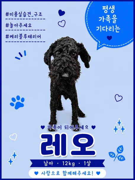 레오