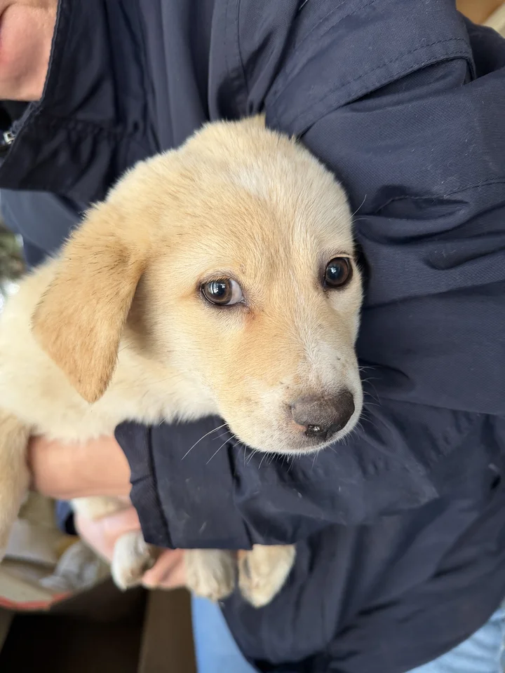 진주 1