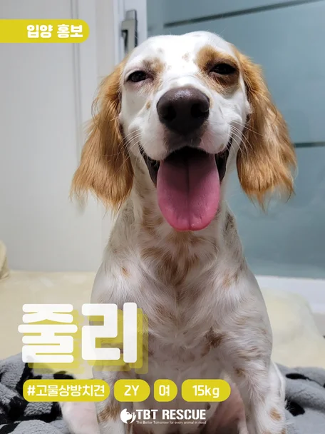 줄리