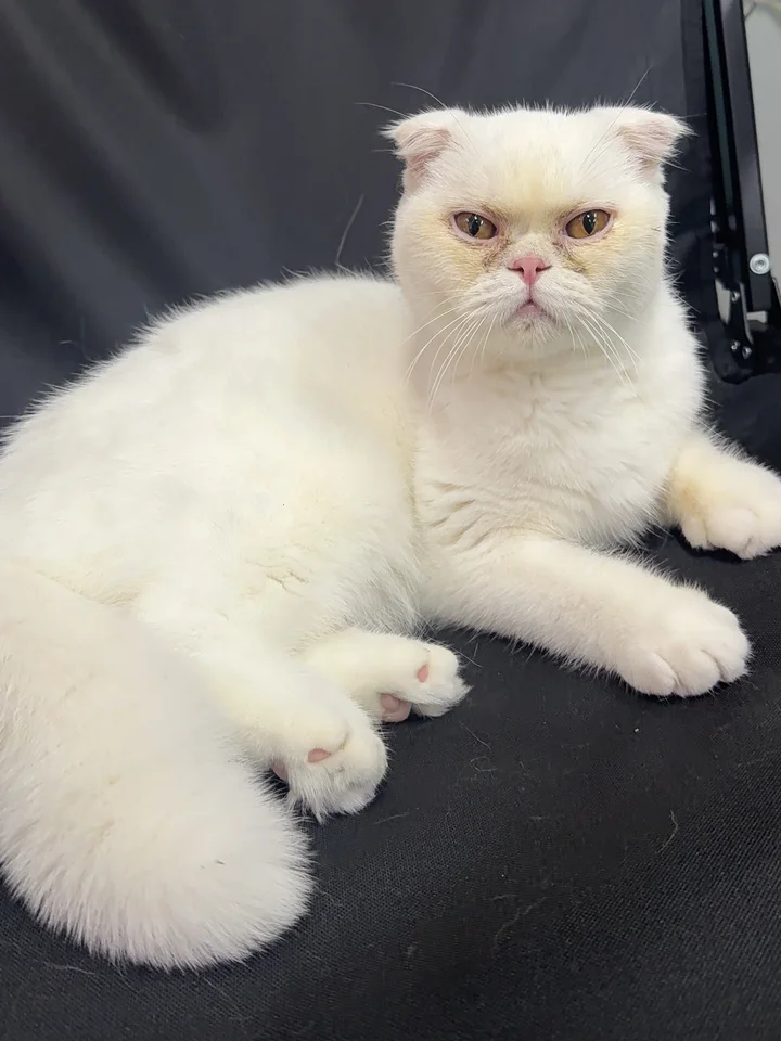 온유 1