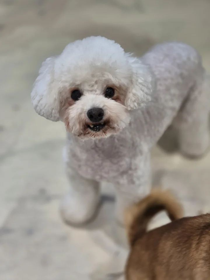나랑 7