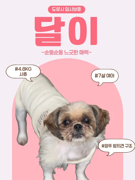 달이