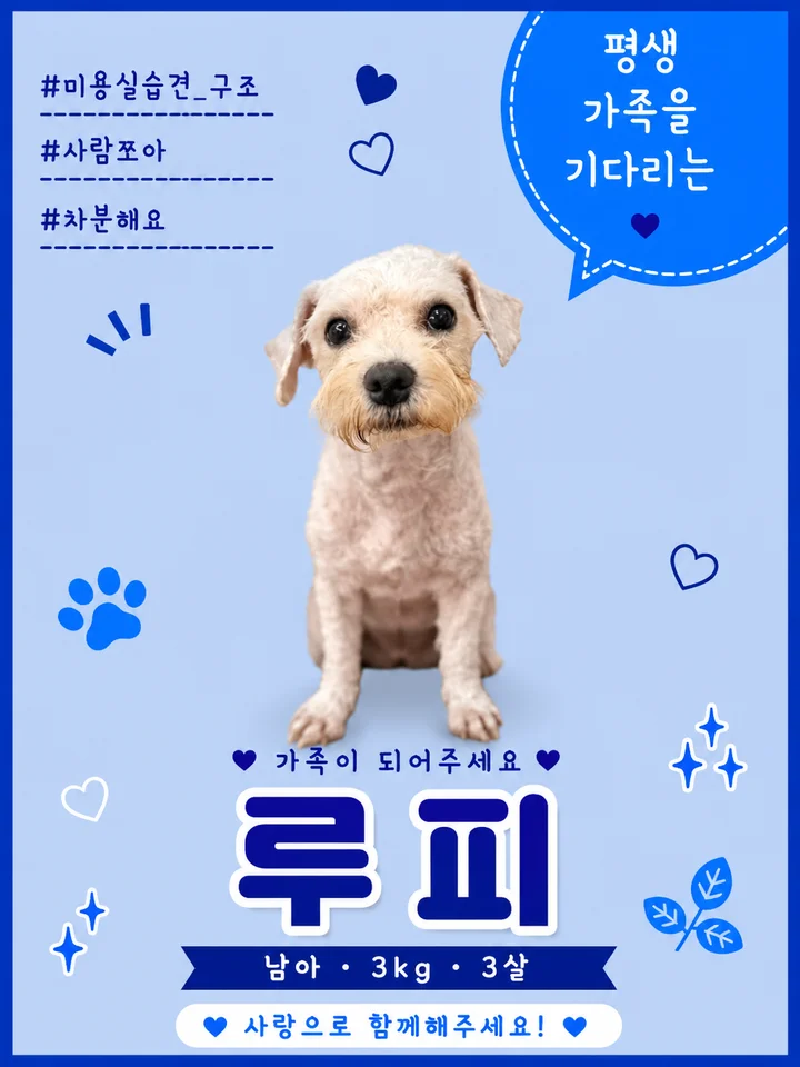 루피 1