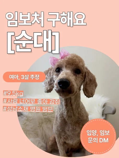 몰리