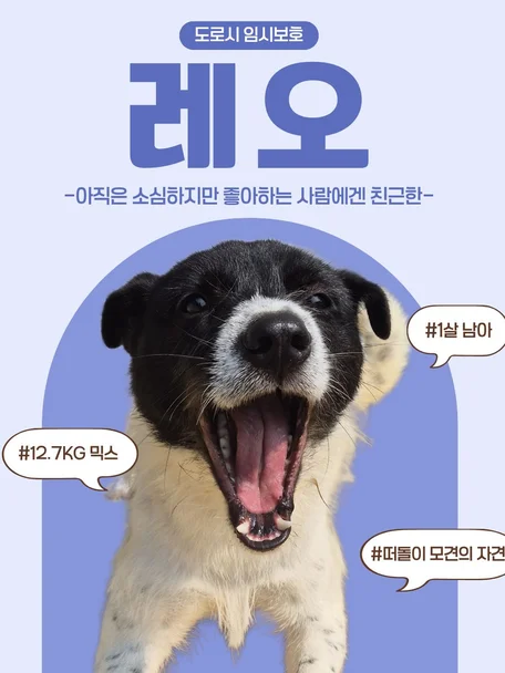 레오