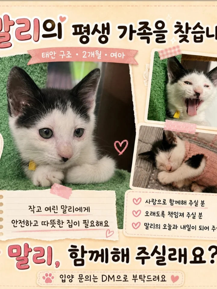 말리 1