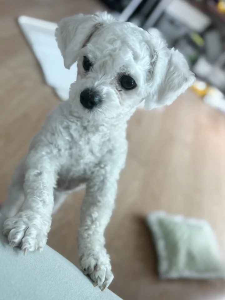 훈이 2