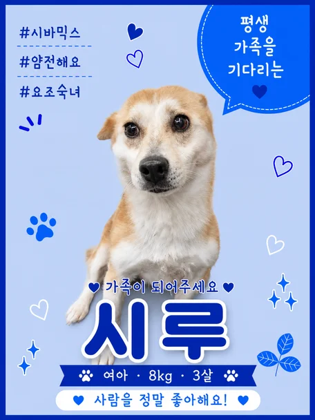 시루