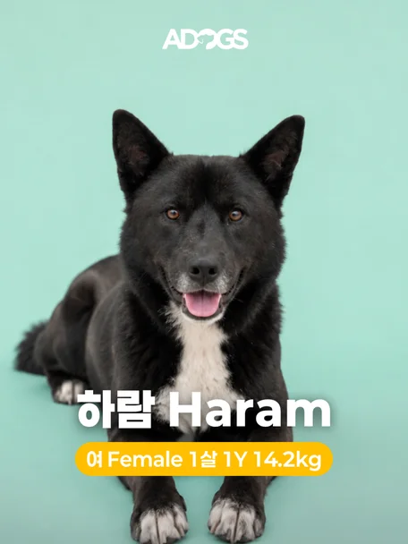 하람