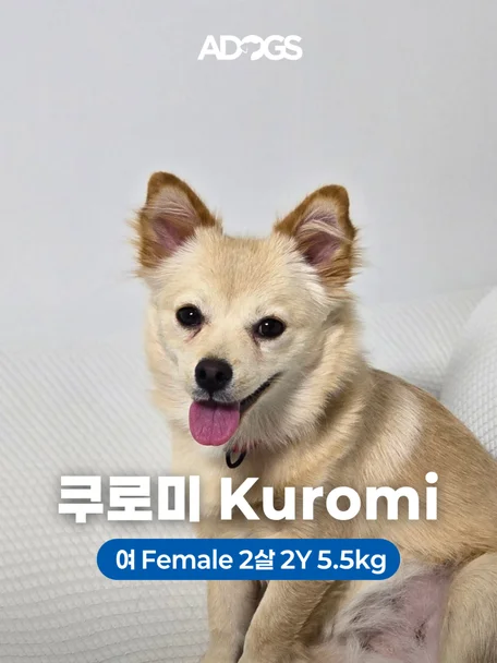 쿠로미