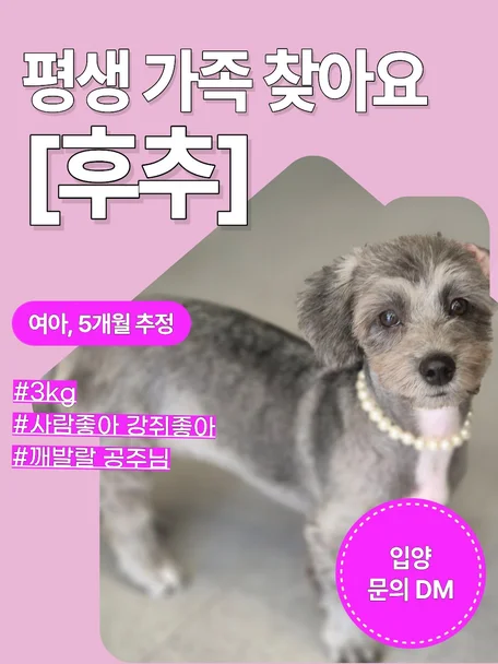 후추
