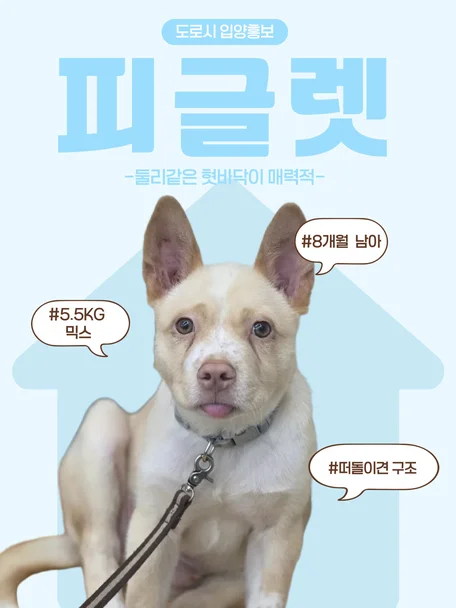 피글렛