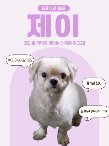 제이