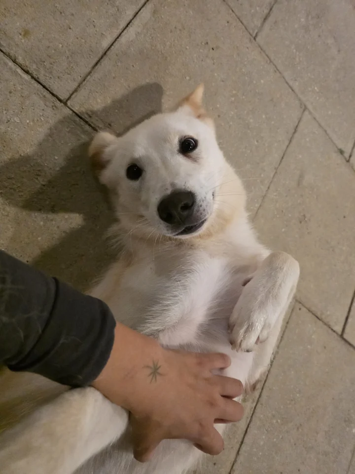 결이 17