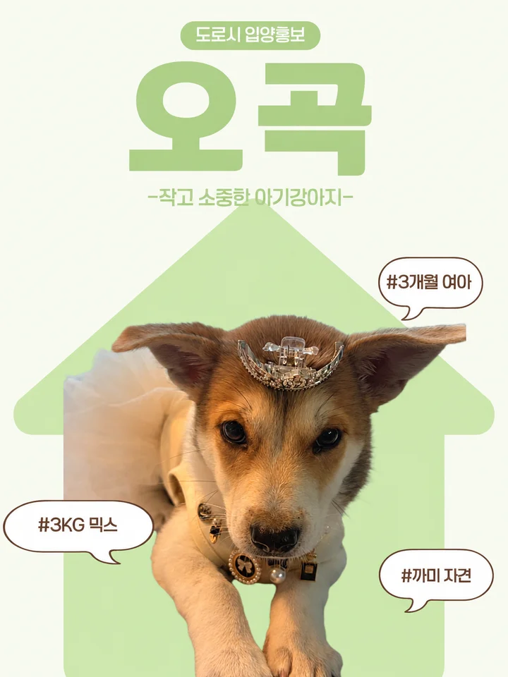 오곡 1