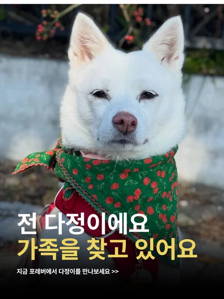 다정