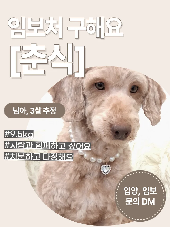 춘식 1