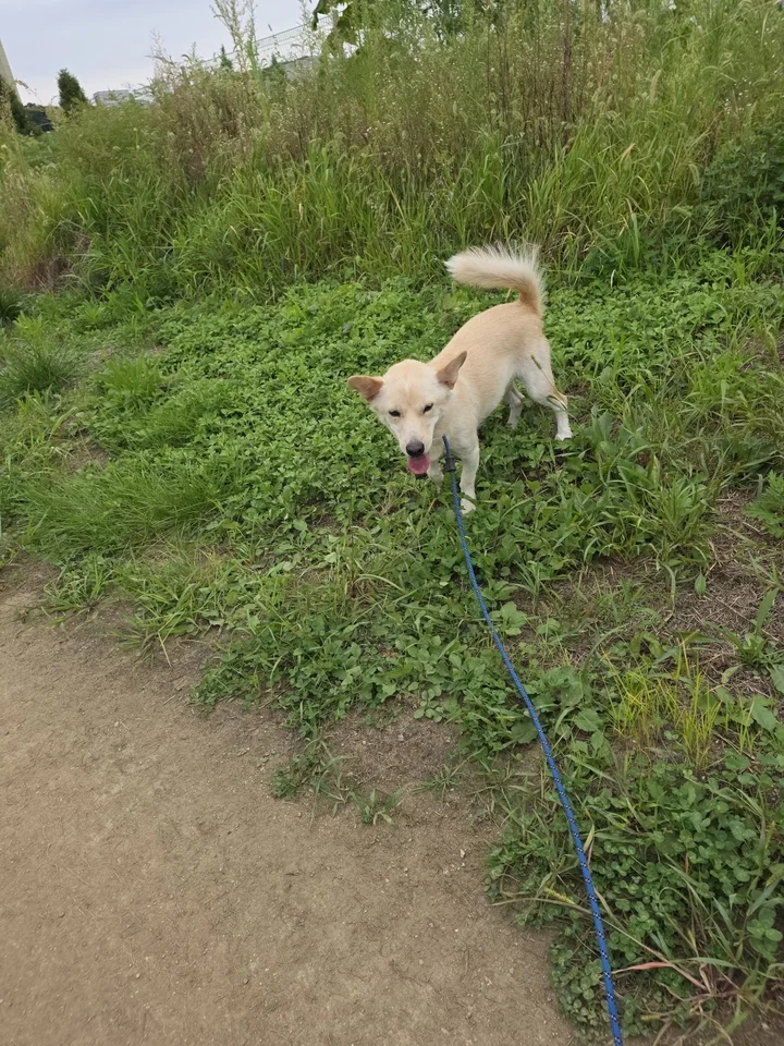 초롱이 4