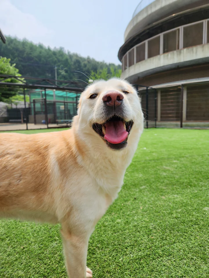 쪼꼬 5