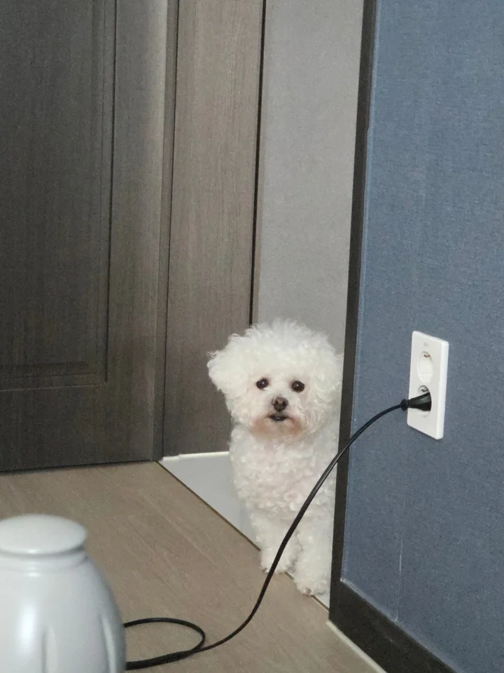 하리 3
