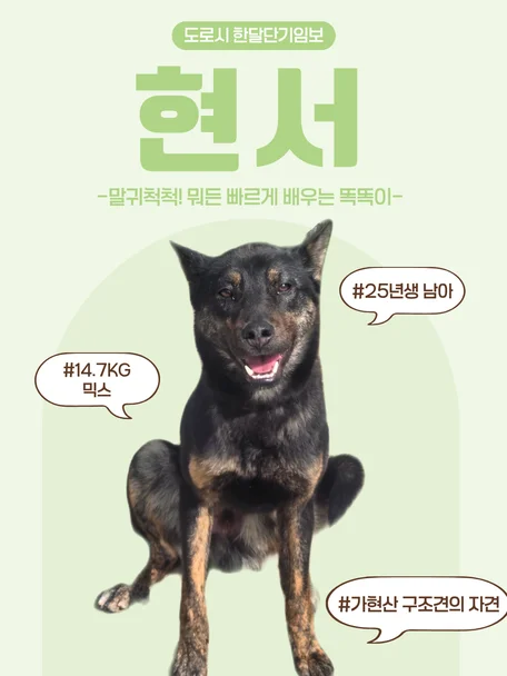 현서
