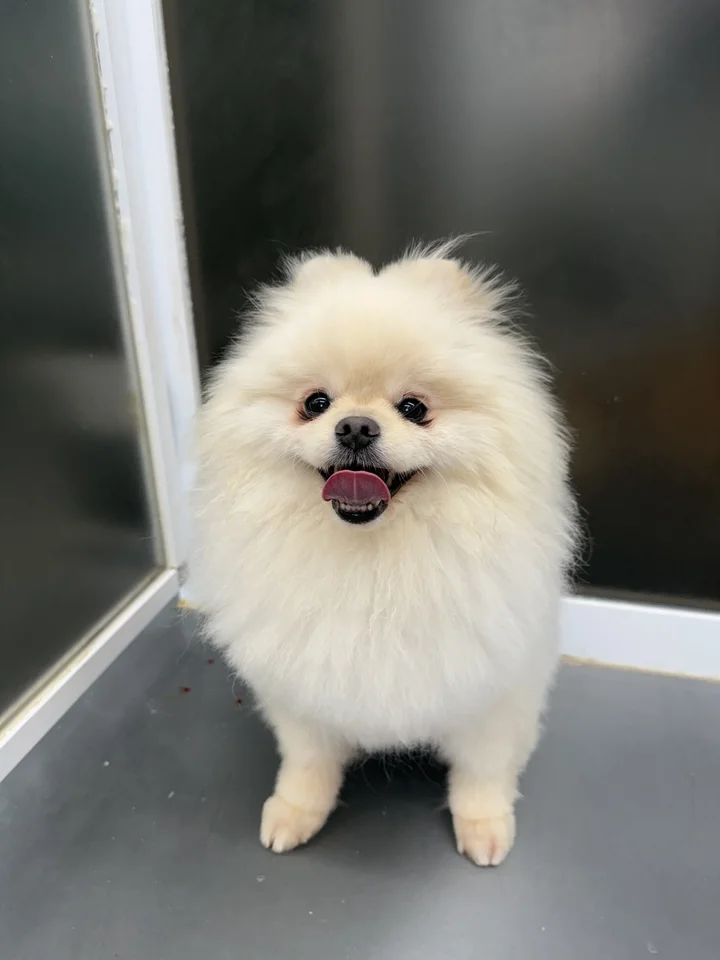 올라프 3
