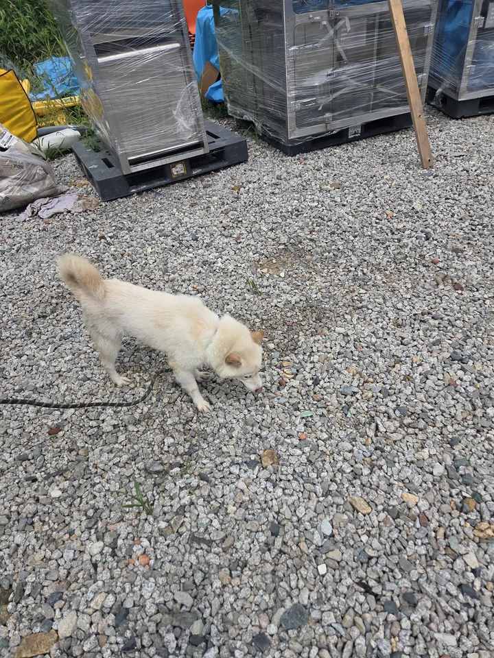 별이 9