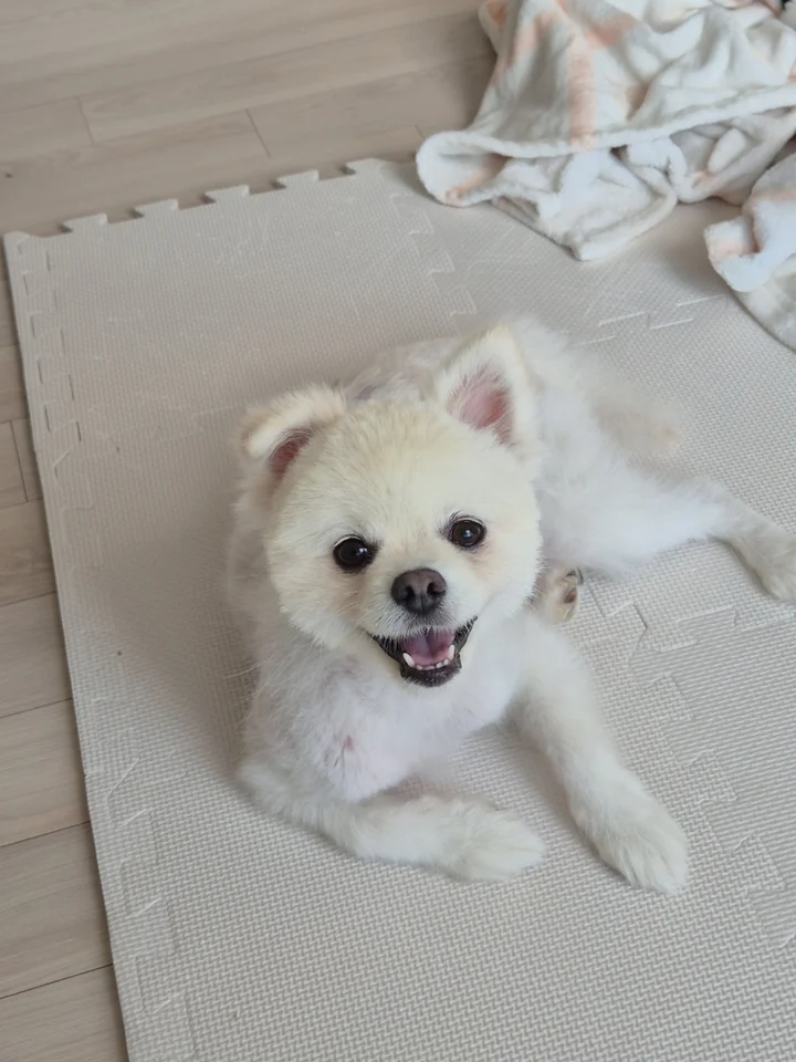 송천 5