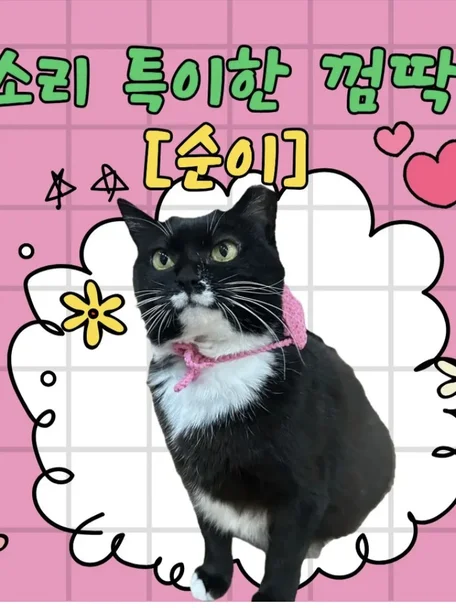 순이