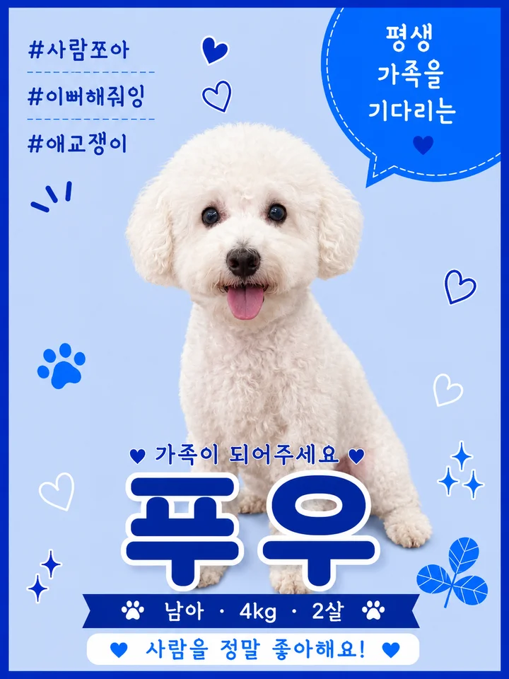 푸우 1