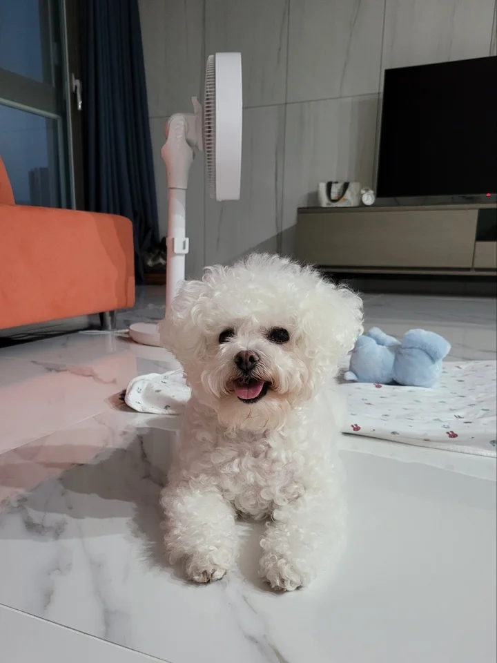 하리 4
