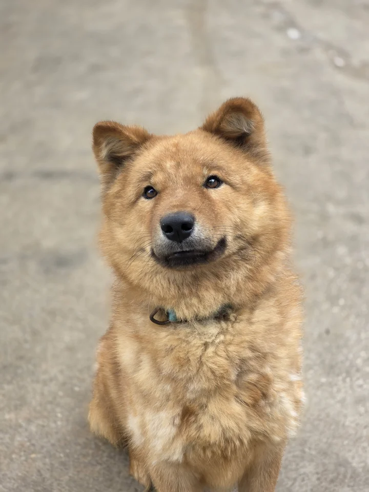 일지니 5