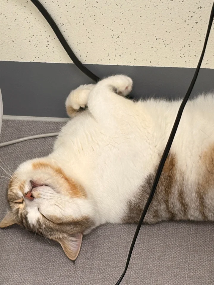 오딘 3
