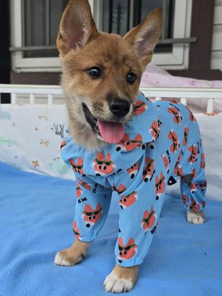 누가