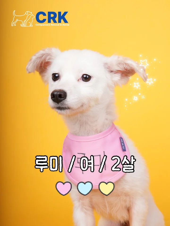 루미 1