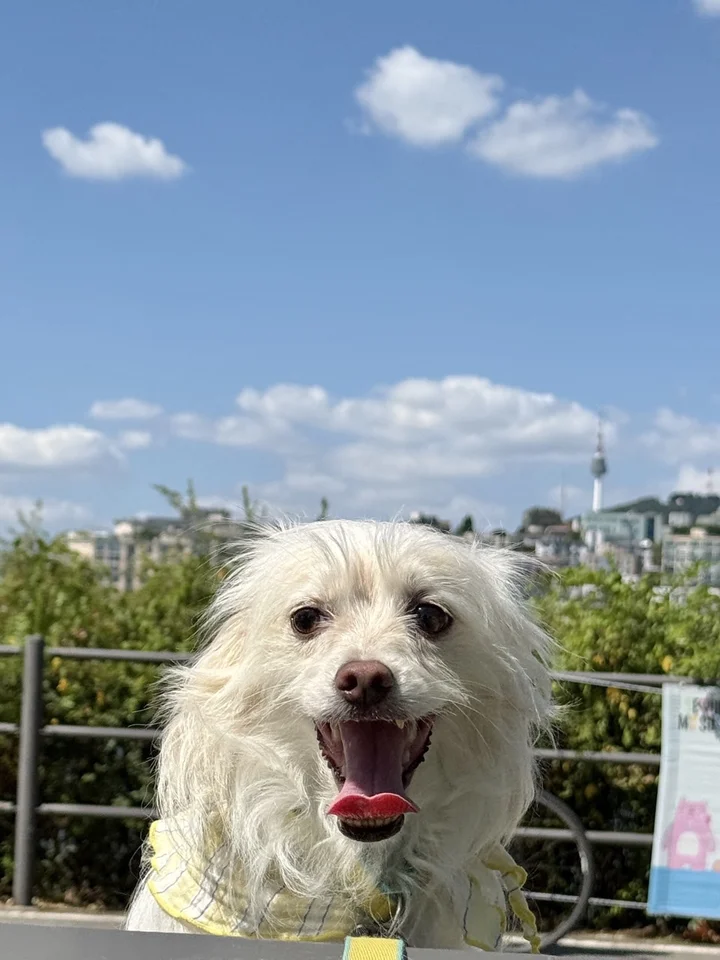 베로 2