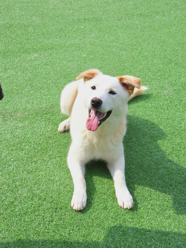 결이 7
