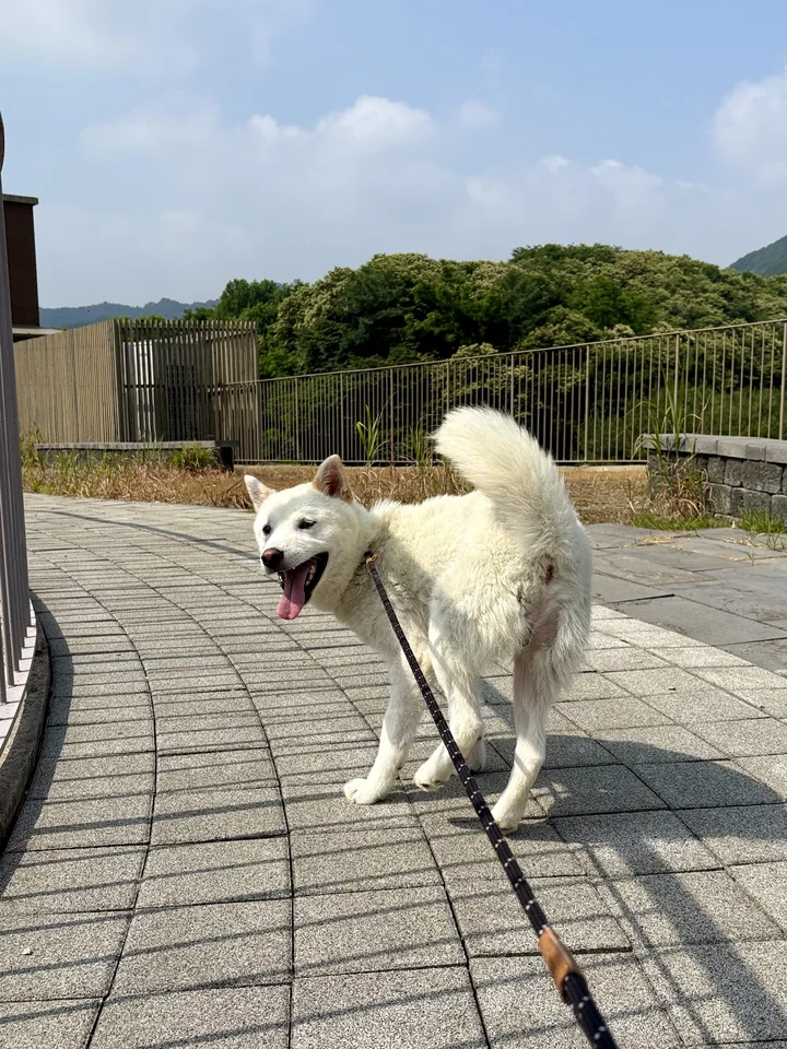 강낭 3